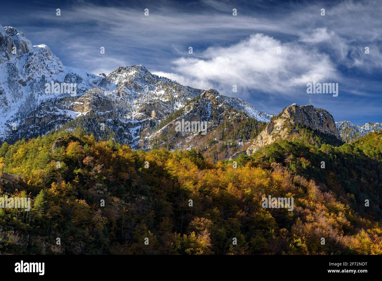 Valle di Groleset e faggeta in autunno, sotto il massiccio della Pedraforca (Parco Naturale Cadí-Moixeró, Catalogna, Spagna, Pirenei) Foto Stock