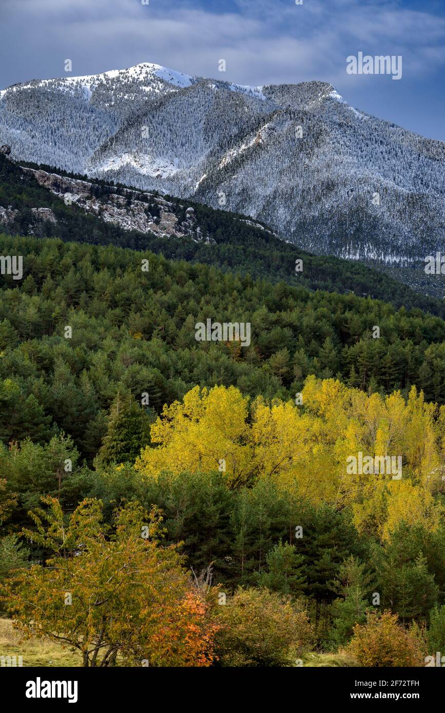 La catena Serra d'Ensija e la Gallina Pelada dopo le prime nevicate in autunno. Visto da vicino Maçaners provincia di Barcellona, Catalogna, Pirenei, Spagna Foto Stock