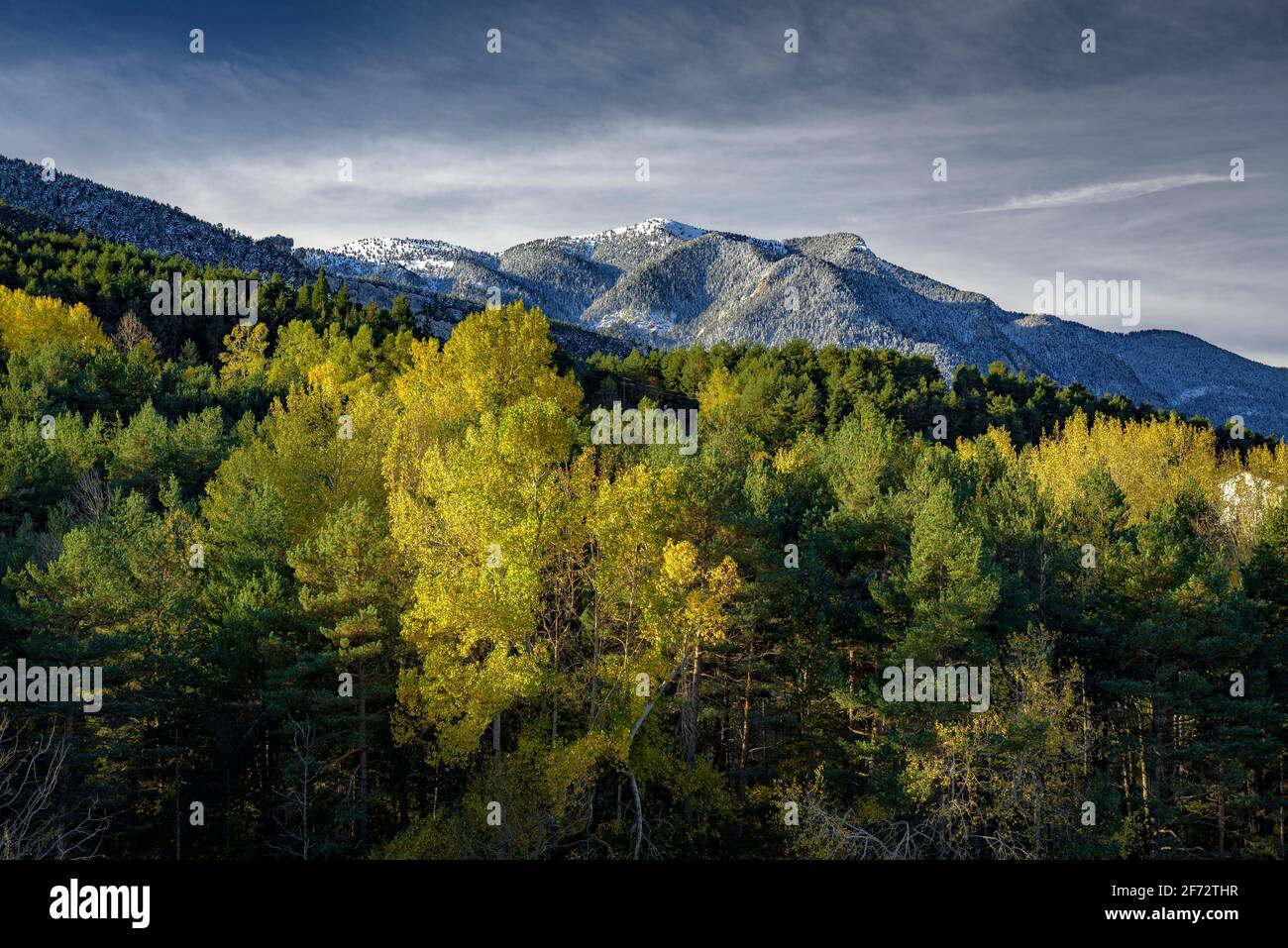 La catena Serra d'Ensija e la Gallina Pelada dopo le prime nevicate in autunno. Visto da vicino Maçaners provincia di Barcellona, Catalogna, Pirenei, Spagna Foto Stock