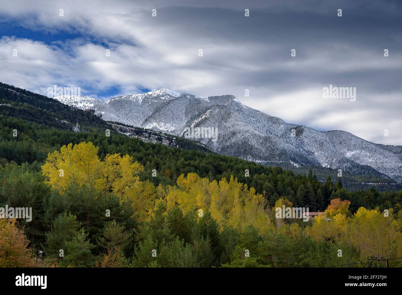 La catena Serra d'Ensija e la Gallina Pelada dopo le prime nevicate in autunno. Visto da vicino Maçaners provincia di Barcellona, Catalogna, Pirenei, Spagna Foto Stock