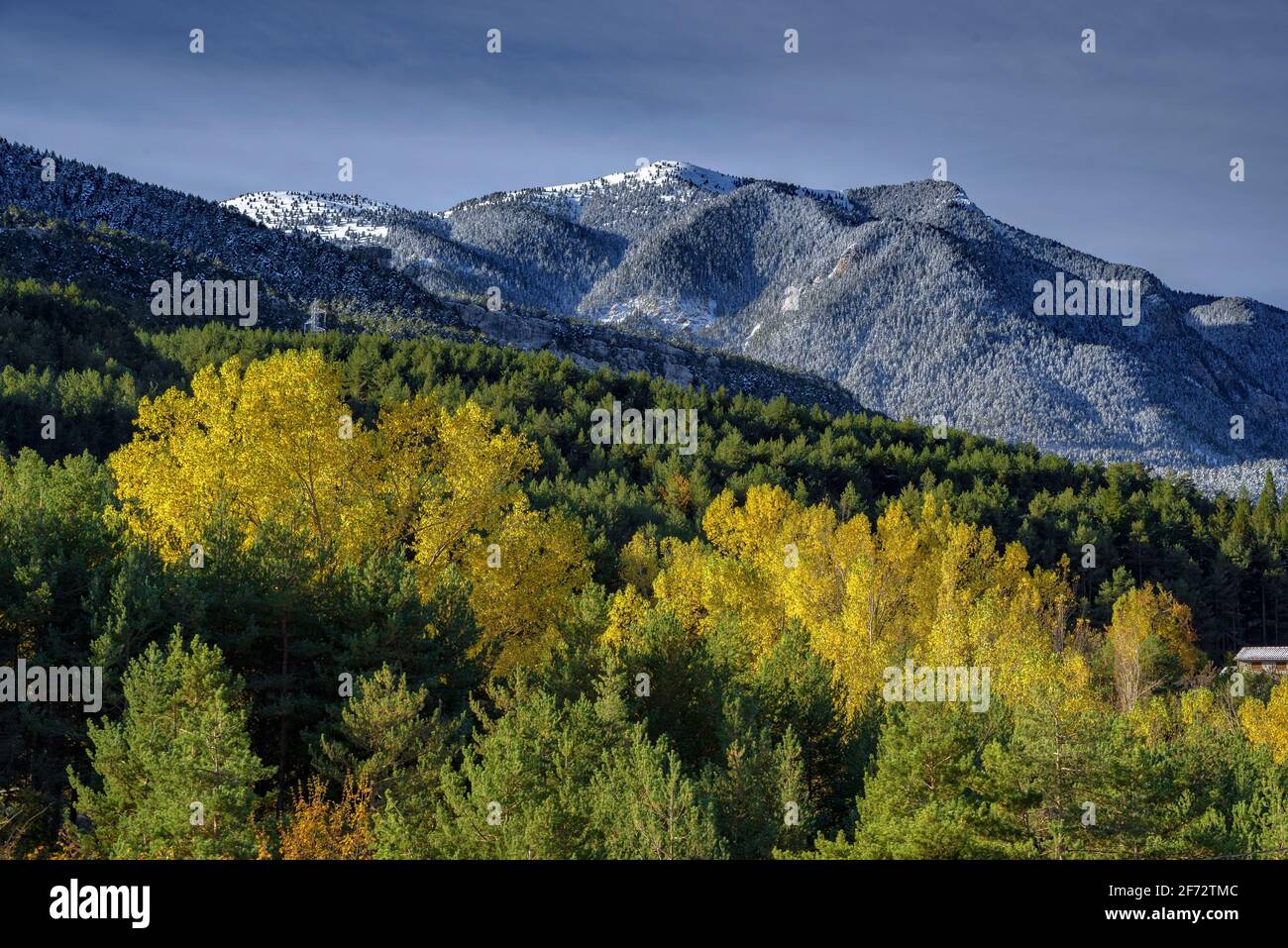 La catena Serra d'Ensija e la Gallina Pelada dopo le prime nevicate in autunno. Visto da vicino Maçaners (provincia di Barcellona, Catalogna, Pirenei) Foto Stock