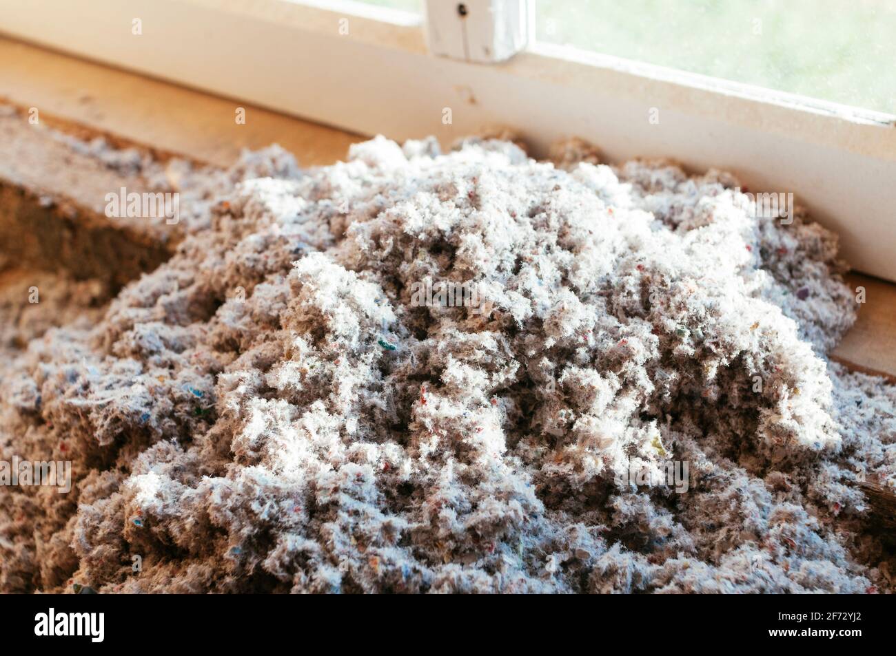 Materiale isolante in cellulosa utilizzato durante il rinnovo di una casa. Foto Stock