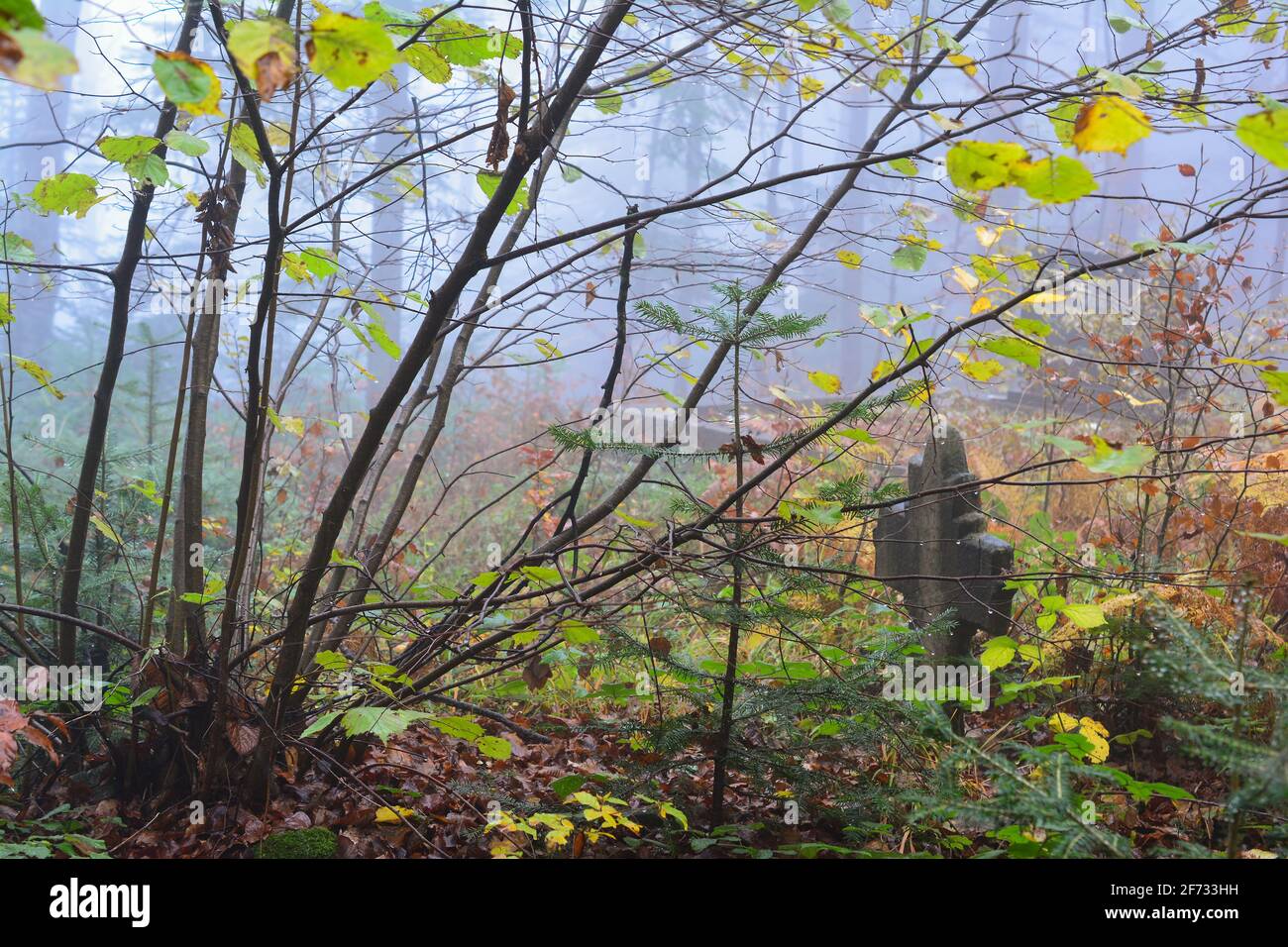 Antico cimitero nel mezzo della foresta nebbiosa in giorno d'autunno piovoso e foggoso Foto Stock