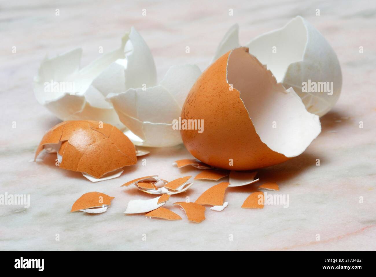 Gusci d'uovo marroni e bianchi, uovo di gallina, uova di gallina, guscio d'uovo Foto Stock