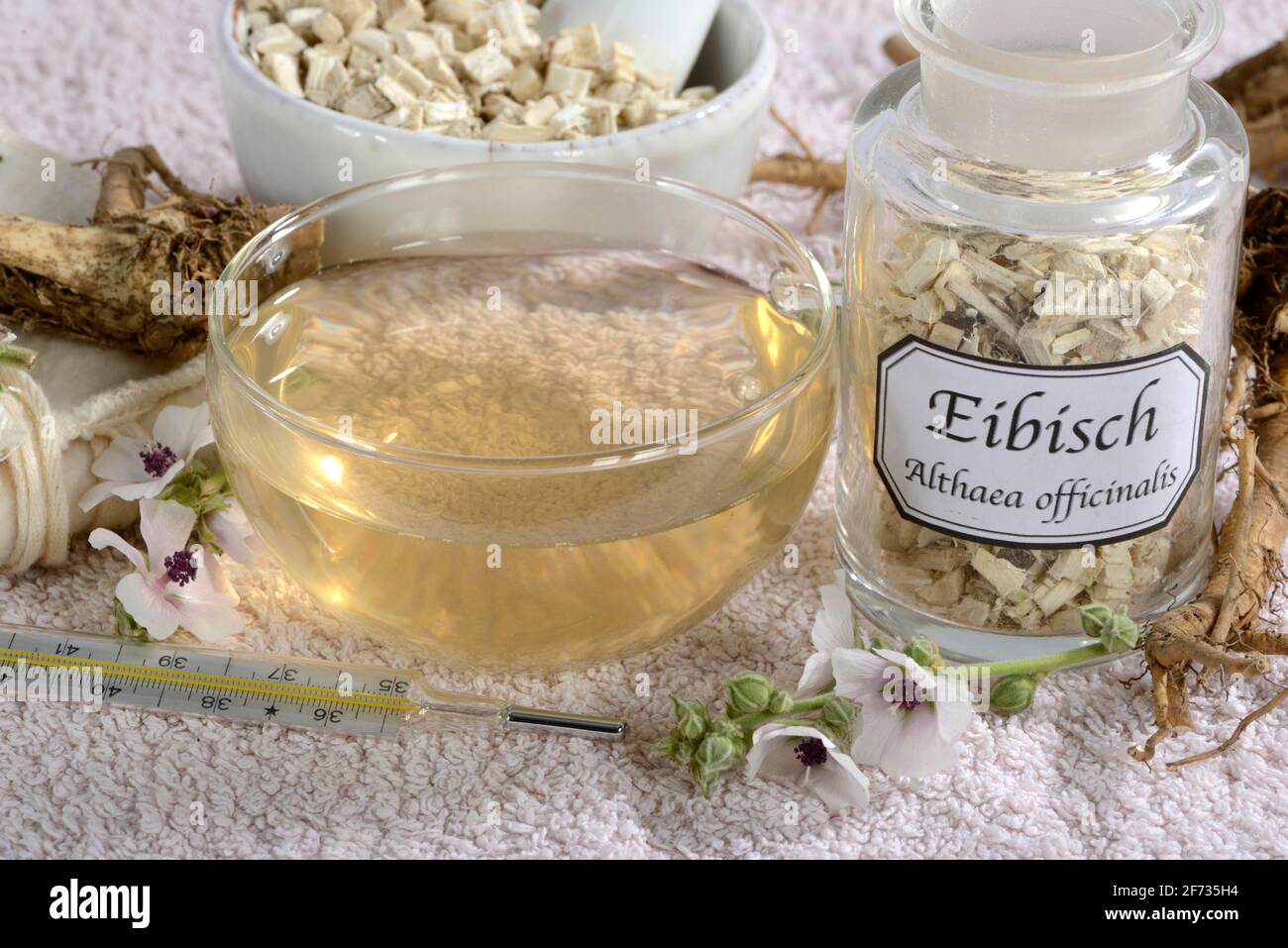 Tazza (Althea officinalis) tè alla radice marshmallow, marshmallow, radici, radici marshmallow, tè alla radice marshmallow, Ade root, Altee, Alter Thee, Alte EH Foto Stock