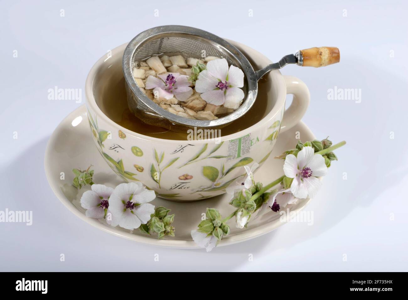 Tazza (Althea officinalis) tè alla radice marshmallow, marshmallow, radici, radici marshmallow, tè alla radice marshmallow, Ade root, Altee, Alter Thee, Alte EH Foto Stock