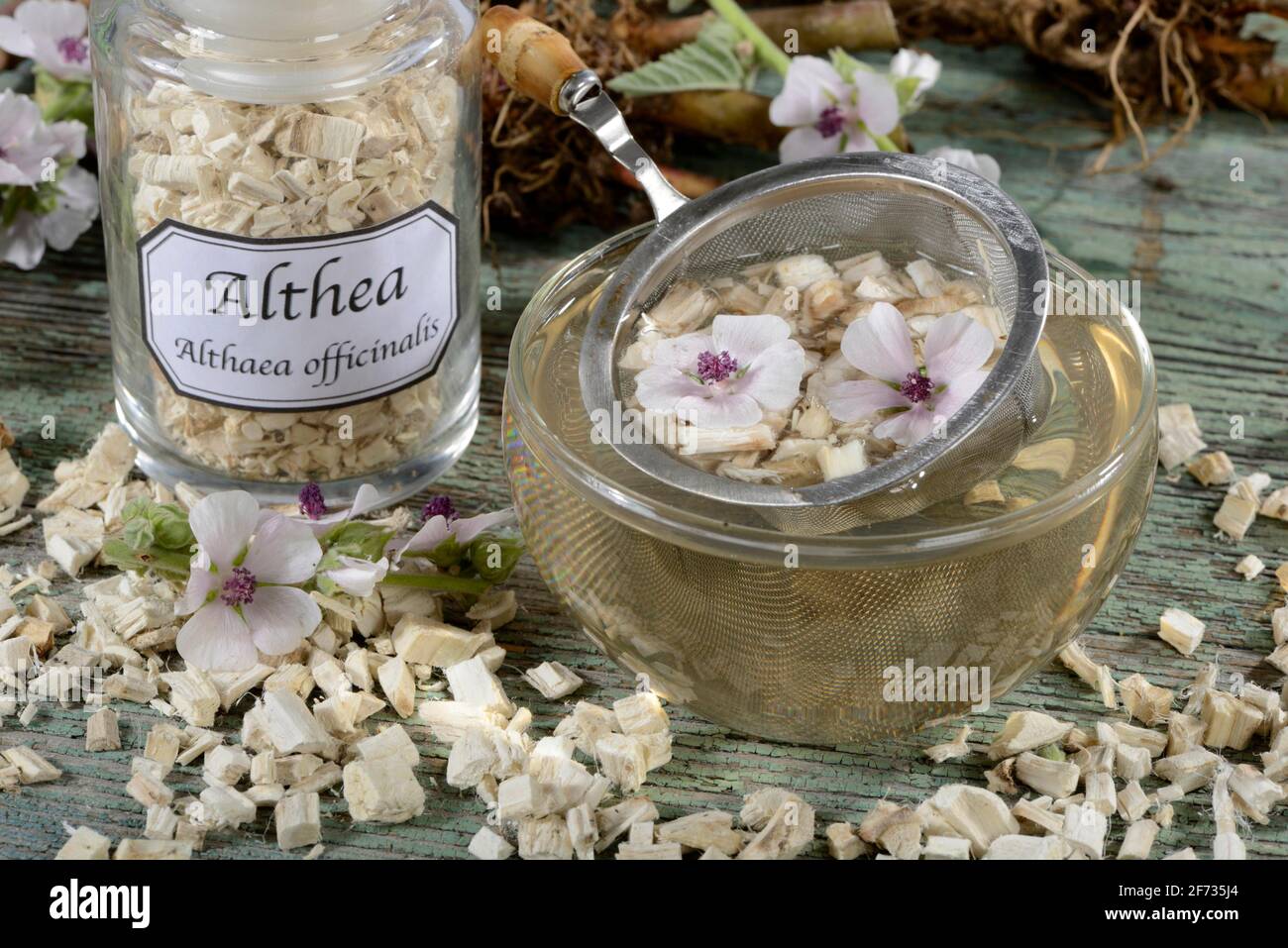 Tazza (Althea officinalis) tè alla radice marshmallow, marshmallow, radici, radici marshmallow, tè alla radice marshmallow, Ade root, Altee, Alter Thee, Alte EH Foto Stock