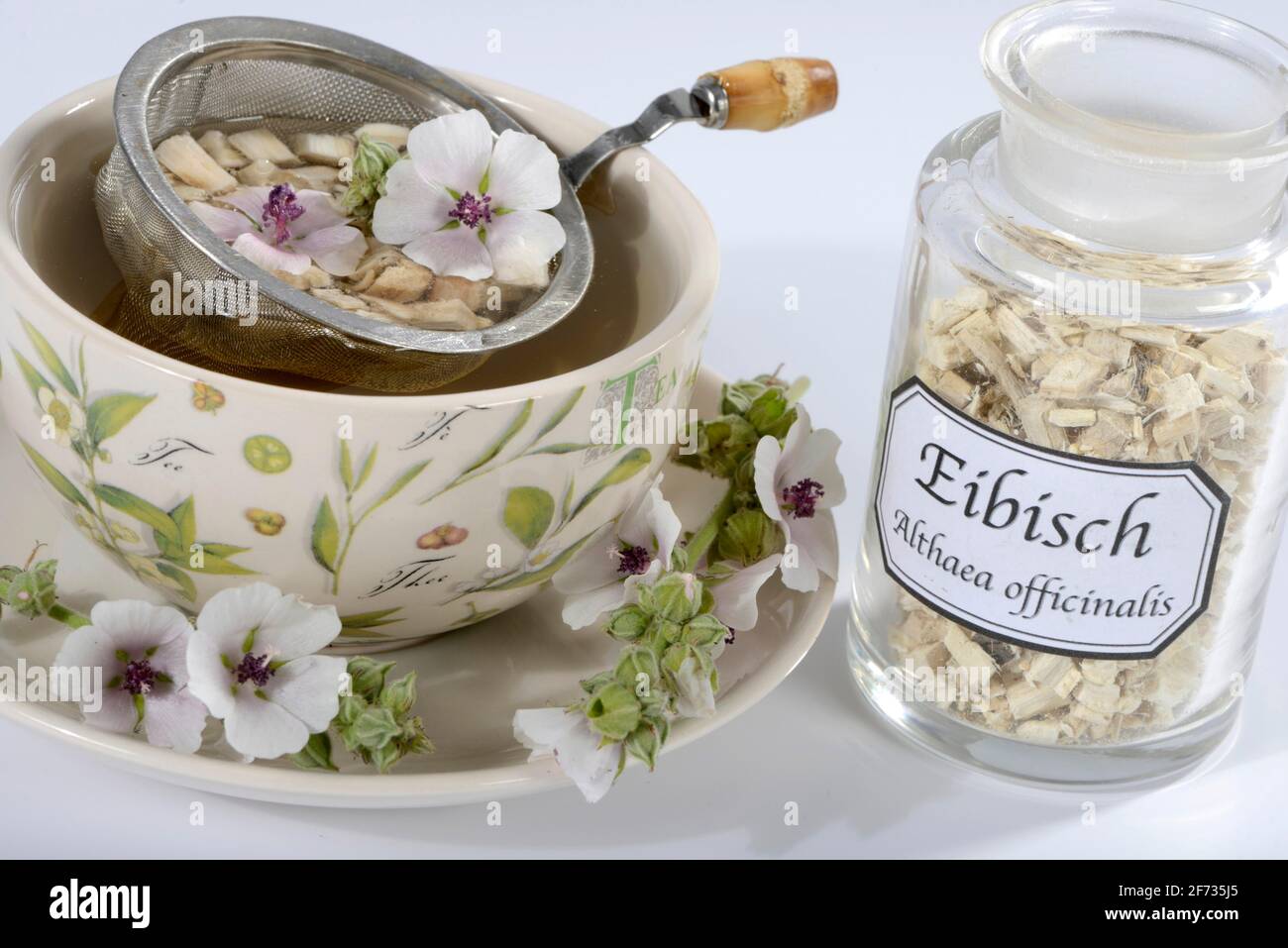 Tazza (Althea officinalis) tè alla radice marshmallow, marshmallow, radici, radici marshmallow, tè alla radice marshmallow, Ade root, Altee, Alter Thee, Alte EH Foto Stock