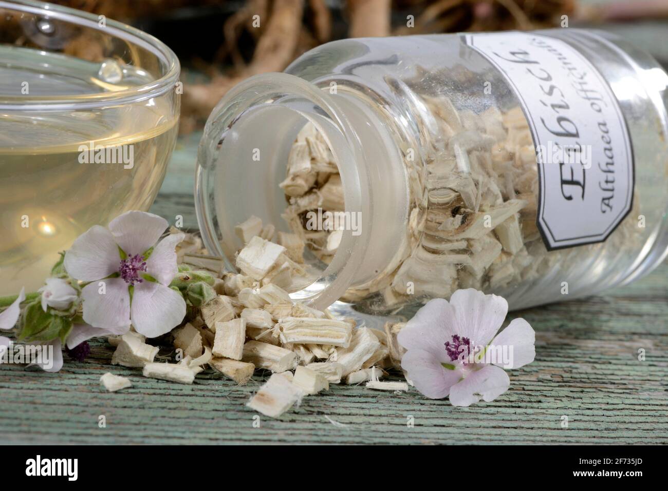Tazza (Althea officinalis) tè alla radice marshmallow, marshmallow, radici, radici marshmallow, tè alla radice marshmallow, Ade root, Altee, Alter Thee, Alte EH Foto Stock