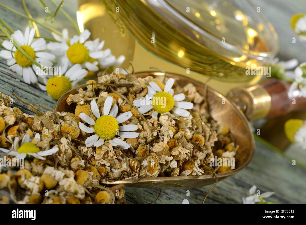 Tazza di tè camomilla, camomilla vera (Matricaria chamomilla) Foto Stock