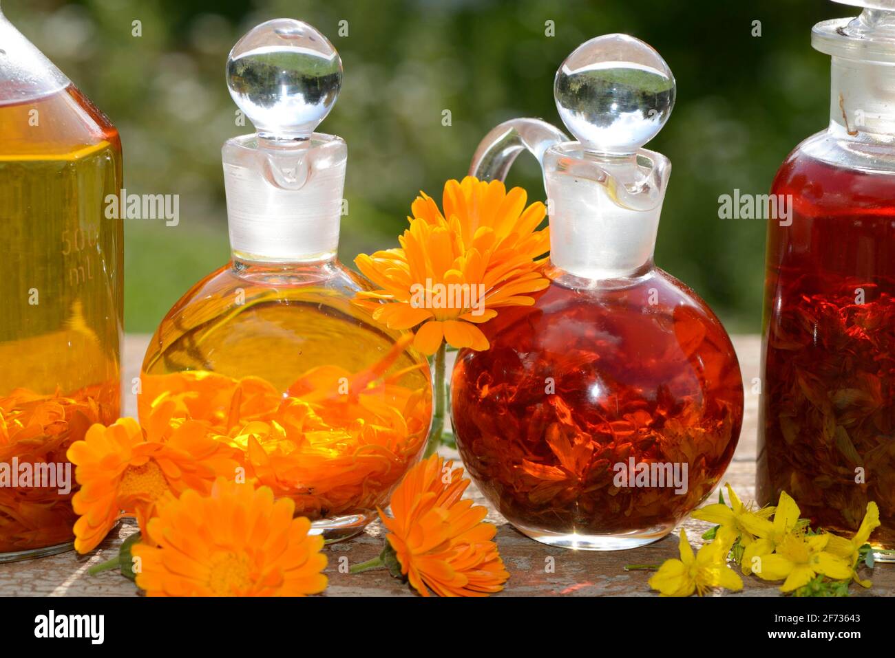 Marigold (Calendula officinalis) e macchiato erba comune di San Giovanni, oli, Hypericum perforatum, macchiato erba comune di San Giovanni, olio Foto Stock