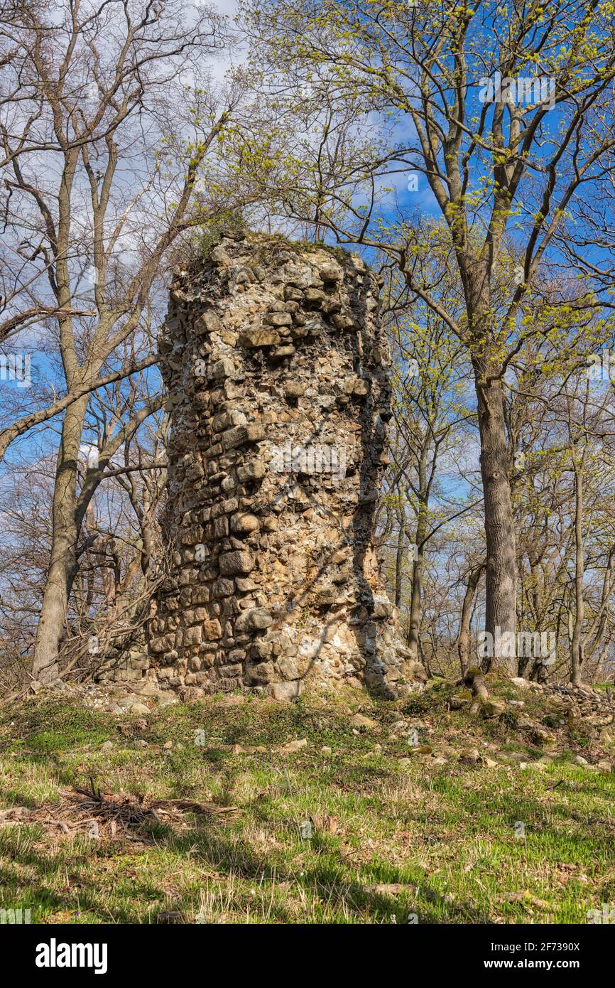 Lauenburg bei Stecklenberg Harz Foto Stock