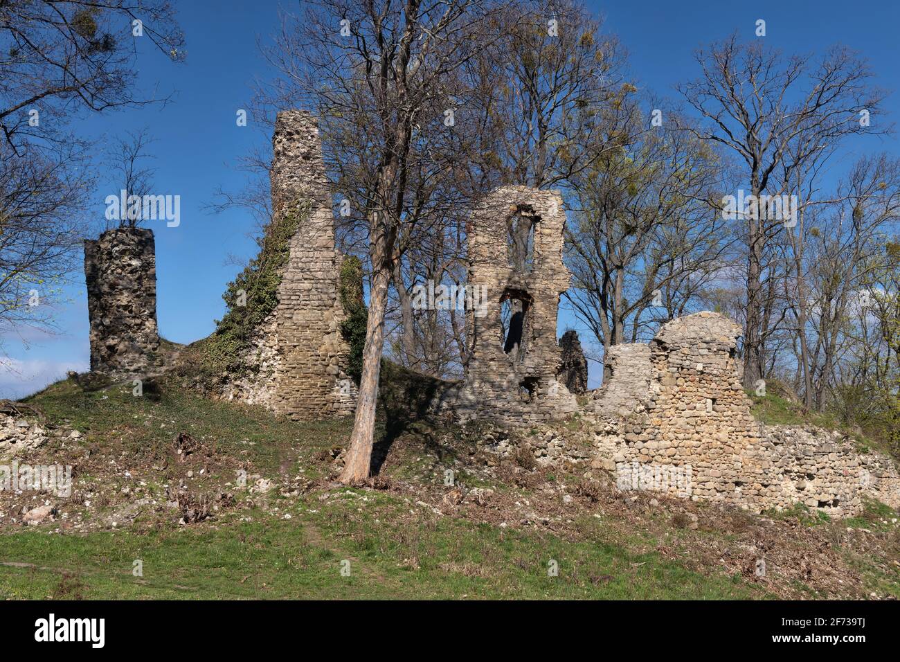 Burgruine Stecklenburg bei Stecklenberg im Harz Foto Stock