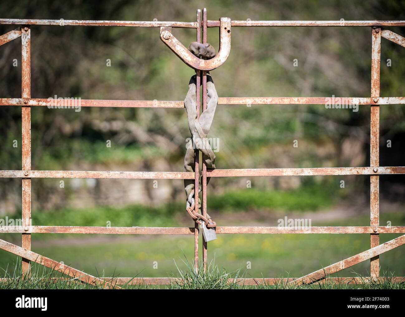 Lucchetto e catena per impieghi pesanti avvolti intorno al vecchio cancello in metallo bianco arrugginito con chiusura di sicurezza in ferro chiusa e bloccata. Foto Stock
