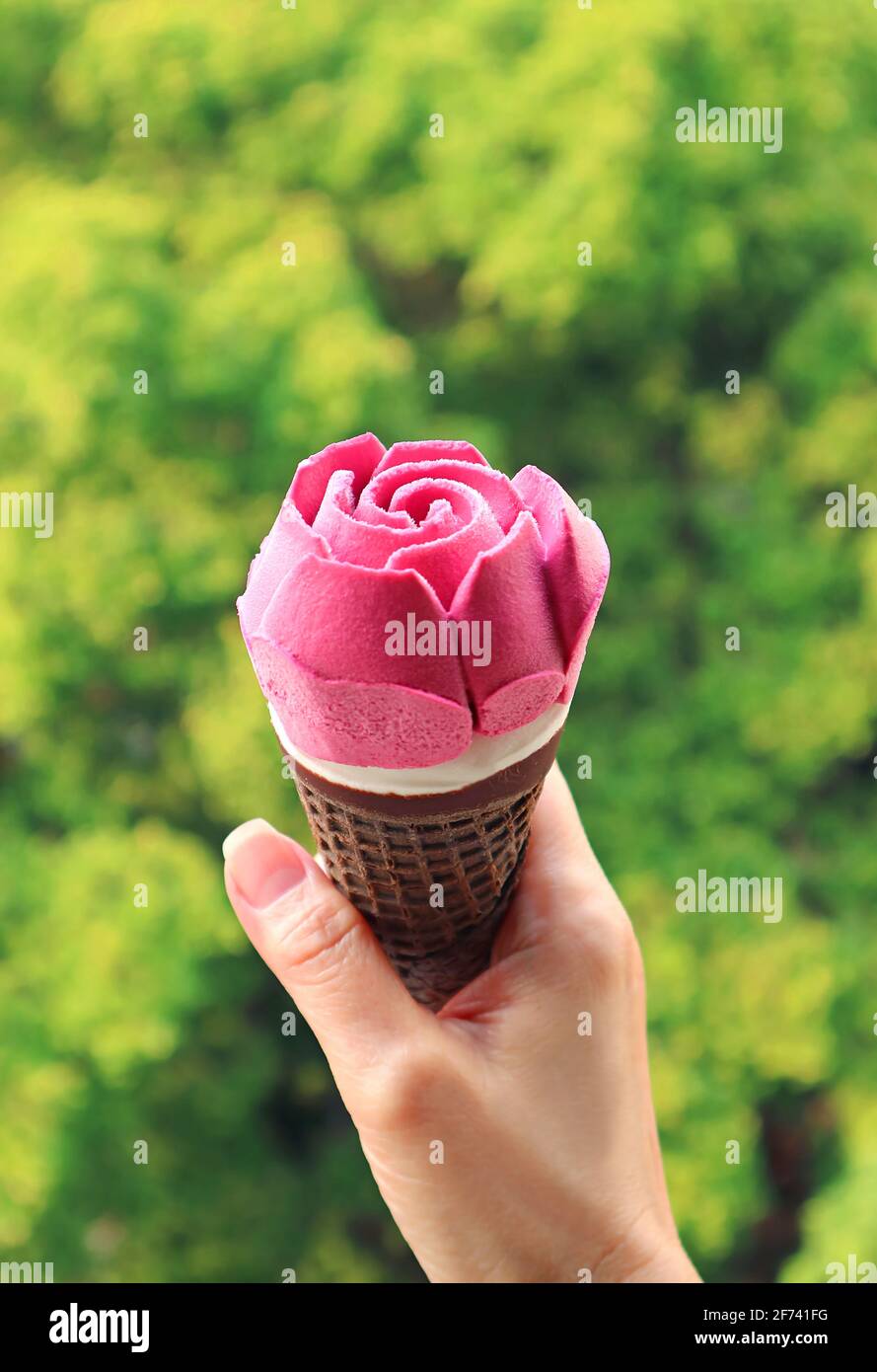 Immagine verticale del cono di gelato rosa a forma di rosa in Donna Mano contro il foliaggio verde sfocato Foto Stock