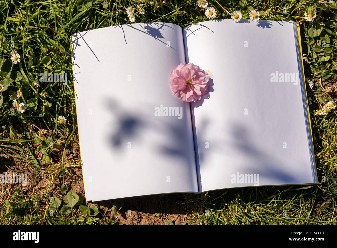 Notebook primavera. Un fiore di ciliegia rosa tra le pagine di un taccuino aperto adagiato sull'erba. L'ombra di un ramo di ciliegio sulle pagine. Foto Stock