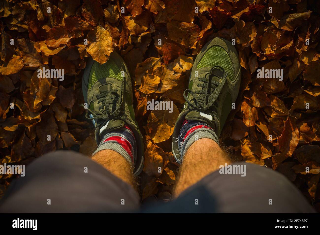 Guardando verso il basso, con i piedi in scarpe sportive saldamente in piedi sul terreno coperto da foglie marroni d'autunno. Foto Stock