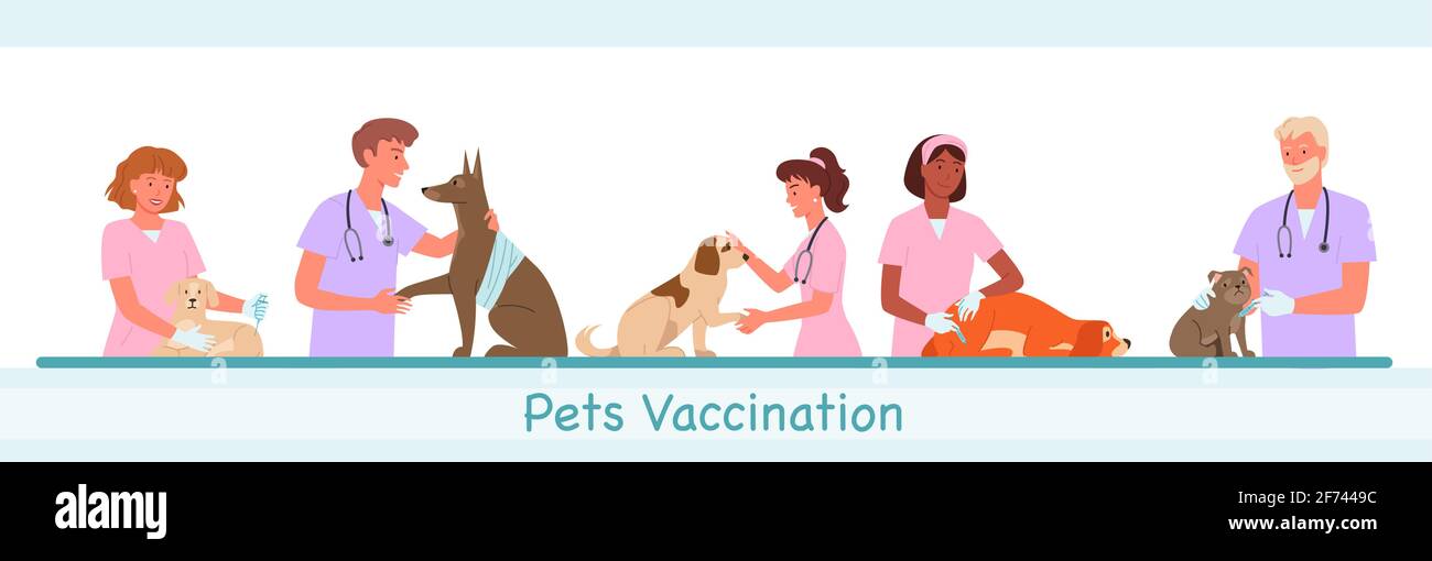 Clinica veterinaria ospedale, servizio sanitario vettore illustrazione set. Visita cartoon al veterinario medico donna uomo personaggi, cane domestico Illustrazione Vettoriale