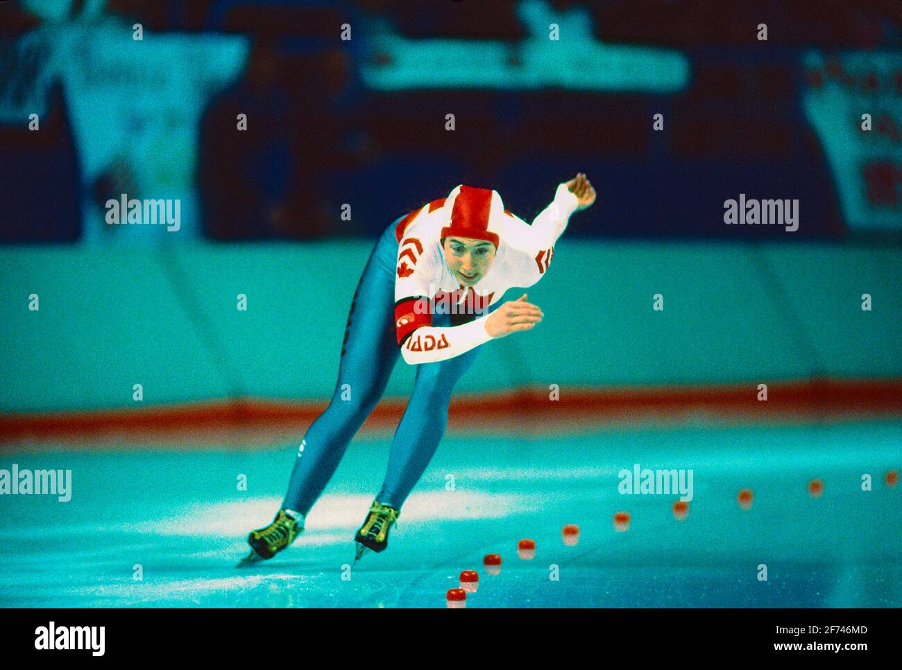 Marie-Pierre Lamarche (CAN) gareggia nel pattinaggio di velocità da 1000 m femminile Ai Giochi Olimpici invernali del 1988 Foto Stock