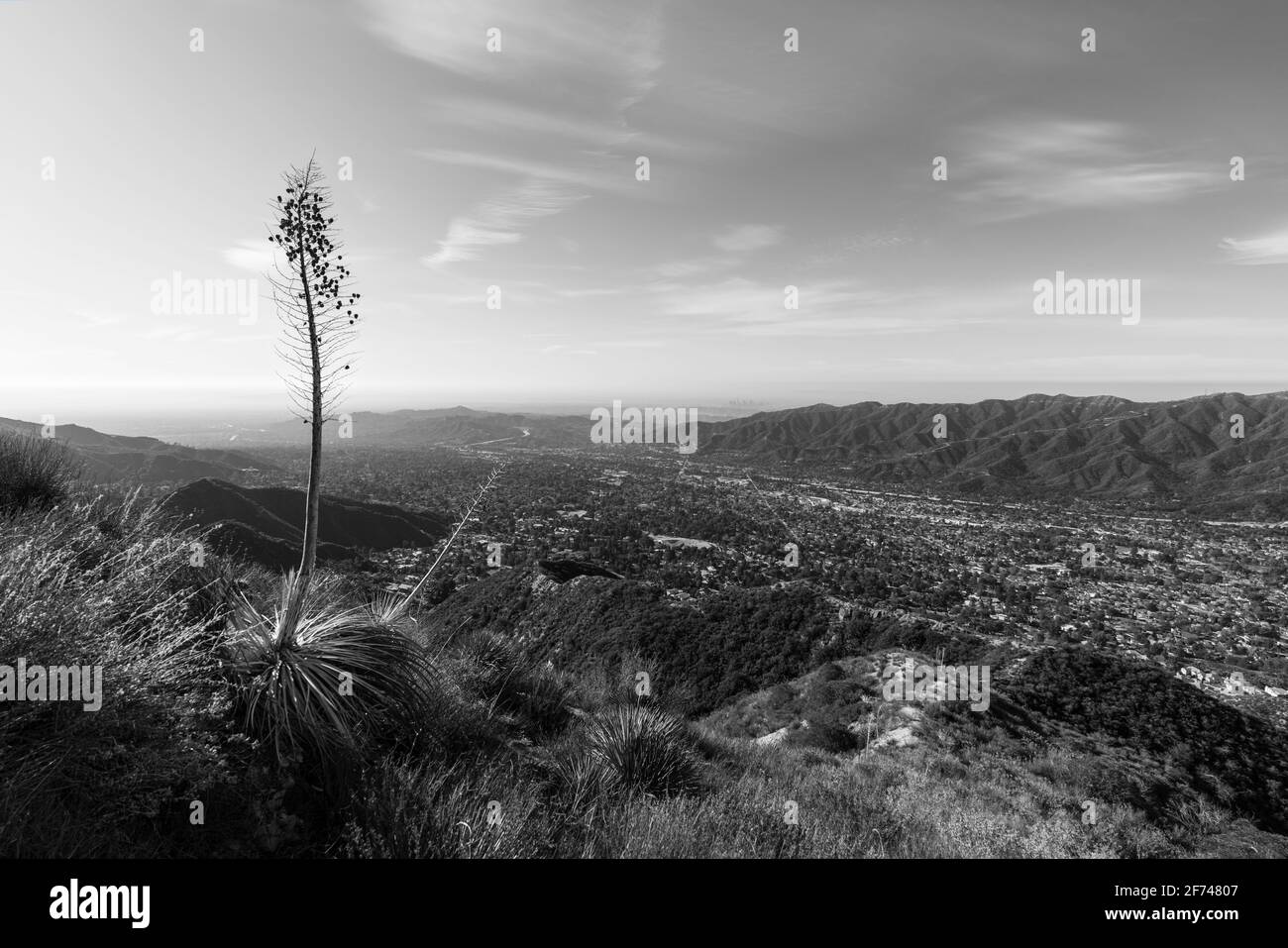 Vista in bianco e nero di la Crescenta, Montrose e Verdugo Mountain dal monte Lukens nella contea di Los Angeles, California. Foto Stock