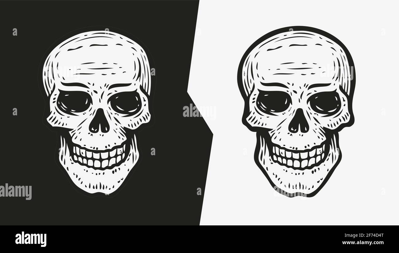 Schizzo del cranio umano. Illustrazione vettoriale disegnata a mano in stile di incisione Illustrazione Vettoriale