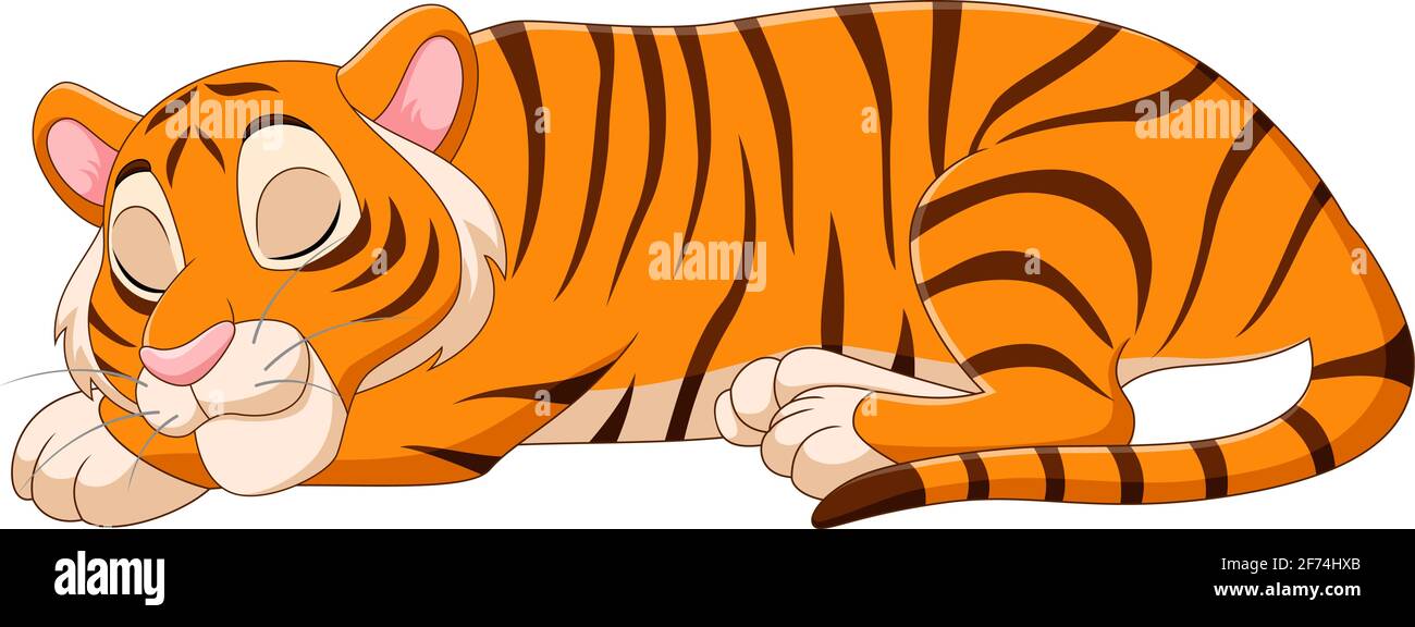 Fumetto divertente tigre dormire su sfondo bianco Illustrazione Vettoriale