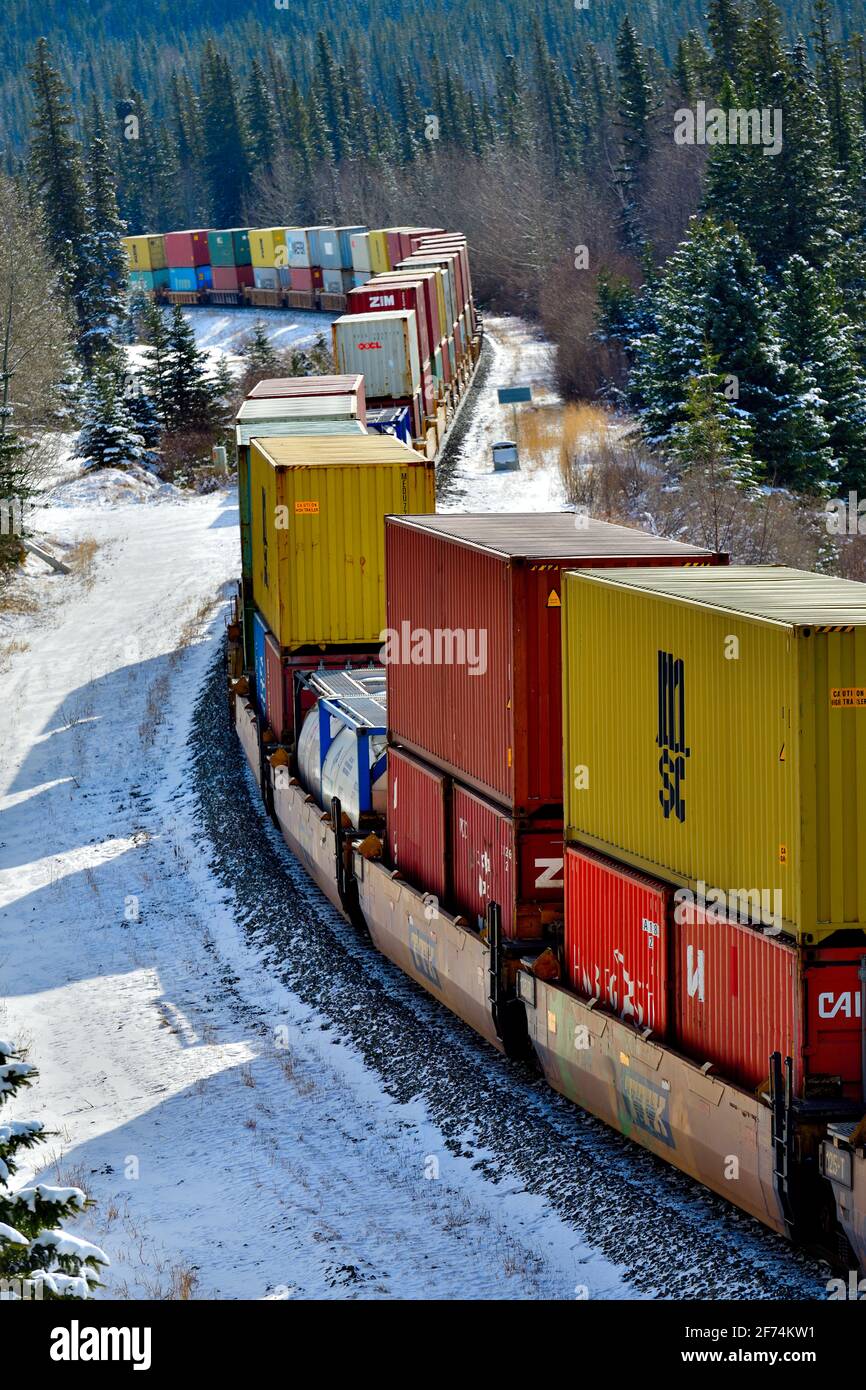 Un treno merci nazionale canadese caricato con i contenitori viaggia intorno ad un angolo in un'area boscosa delle montagne rocciose dell'Alberta Canada. Foto Stock