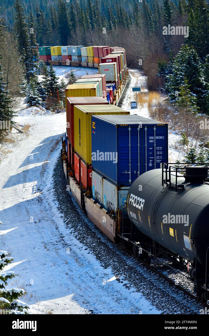 Un treno di trasporto nazionale canadese caricato con una miscela di le auto di trasporto viaggiano intorno ad un angolo in una zona boscosa Delle montagne rocciose di Alberta CAN Foto Stock