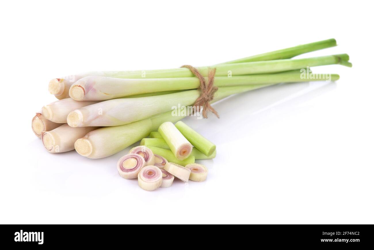 La citronella isolati su sfondo bianco Foto Stock