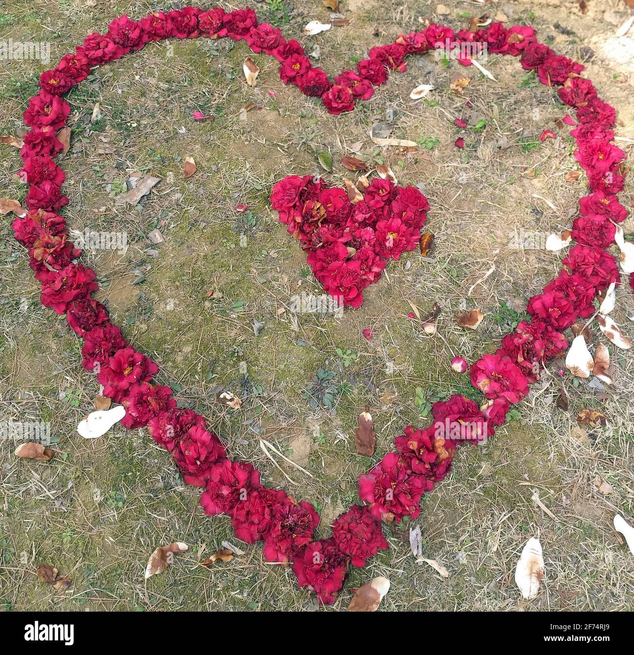 Paesaggio naturale di primavera e passeggiata nel parco, Foto che rappresentano la natura e paesaggi stagionali Foto Stock