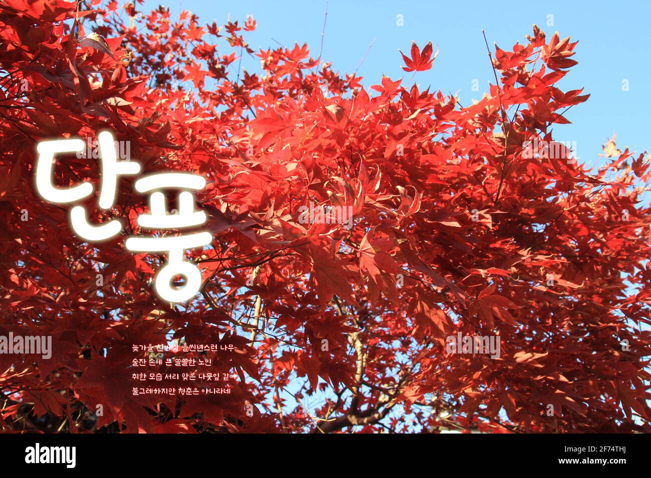 Paesaggio naturale di primavera e passeggiata nel parco, Foto che rappresentano la natura e paesaggi stagionali Foto Stock