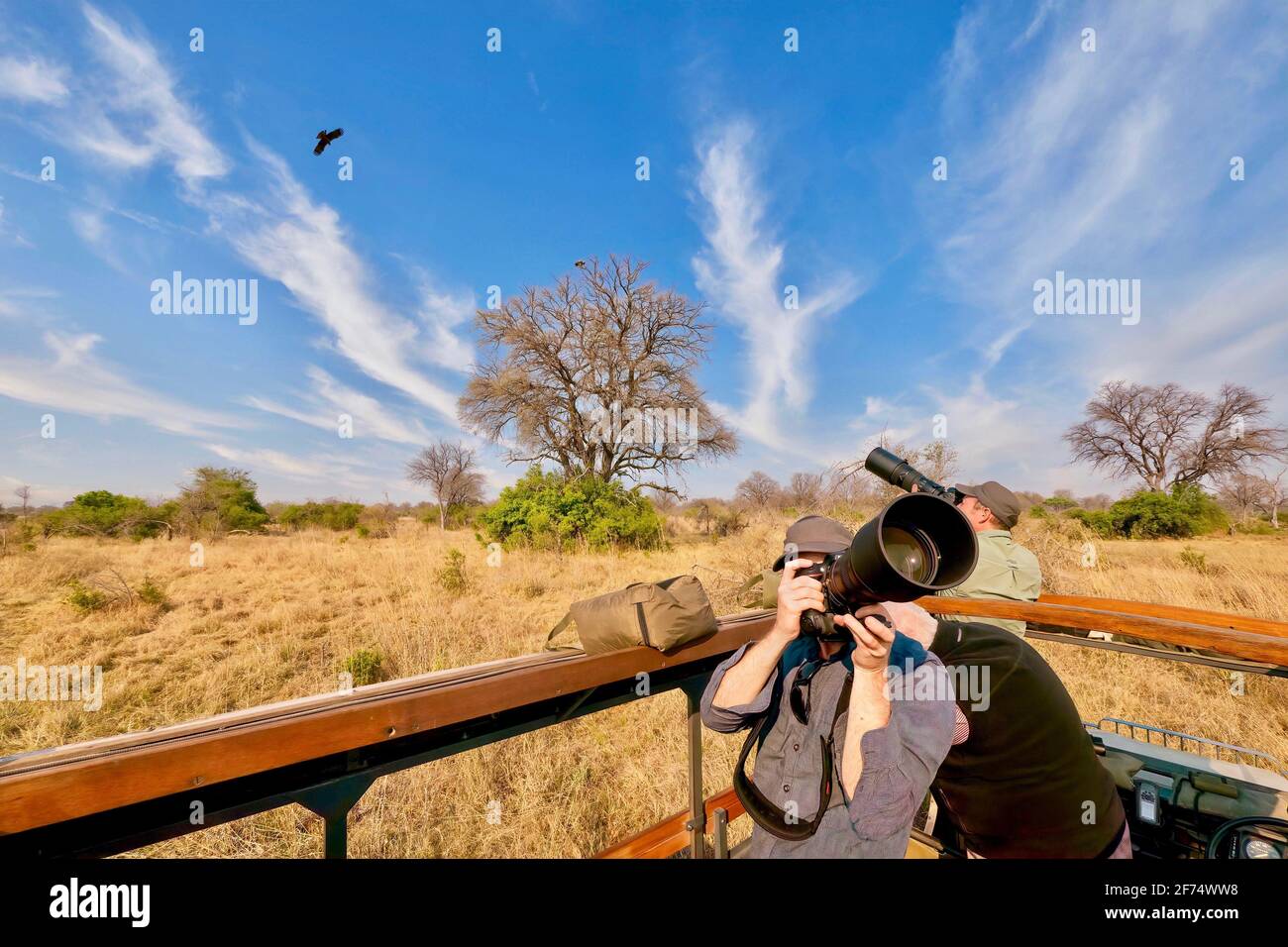 2Moremi Game Reserve, Botswana - 28 settembre 2014. Gli ospiti in un safari fotografico fotografano uccelli rapaci nel cielo da un veicolo aperto. Foto Stock