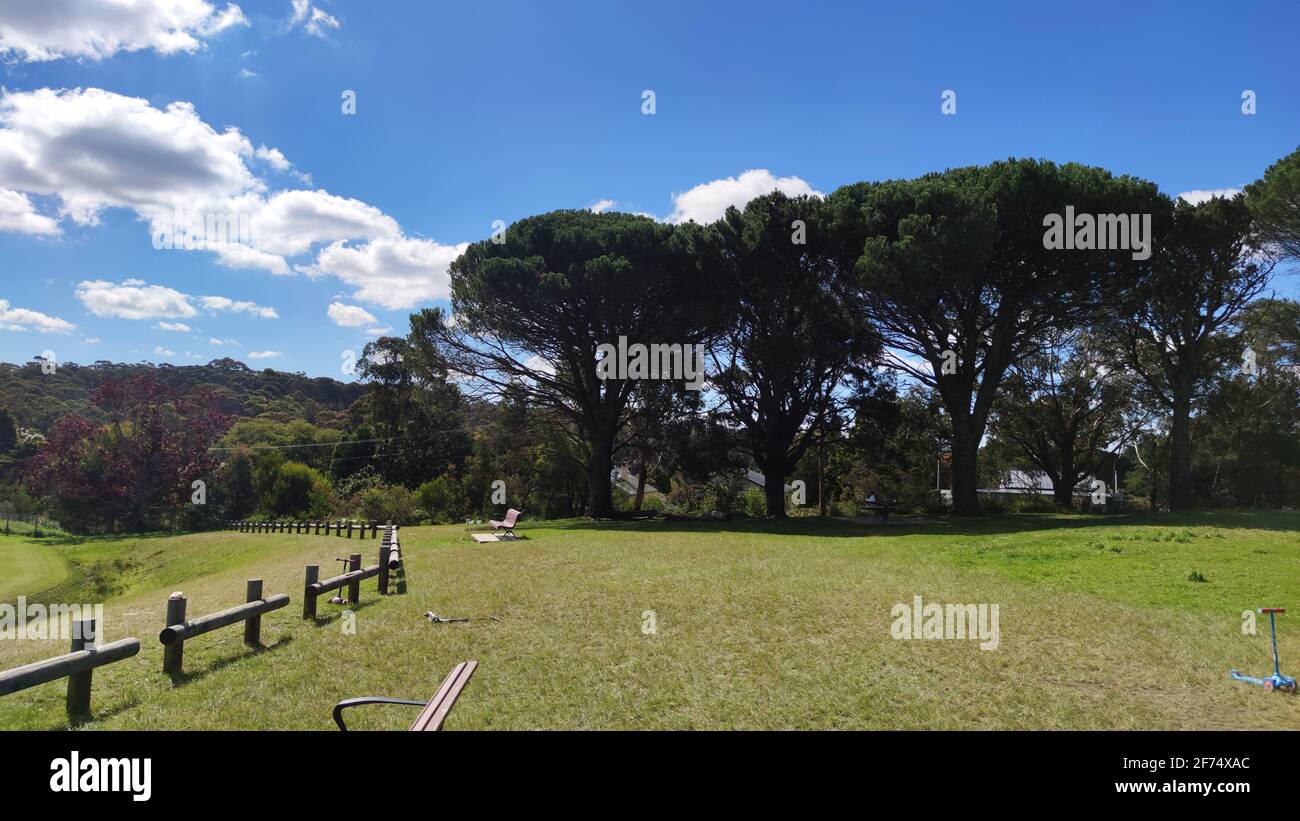 ottima vista sul prato e sul cielo a nord di sydney. pascoli o praterie. meravigliose recinzioni in legno. australia Foto Stock