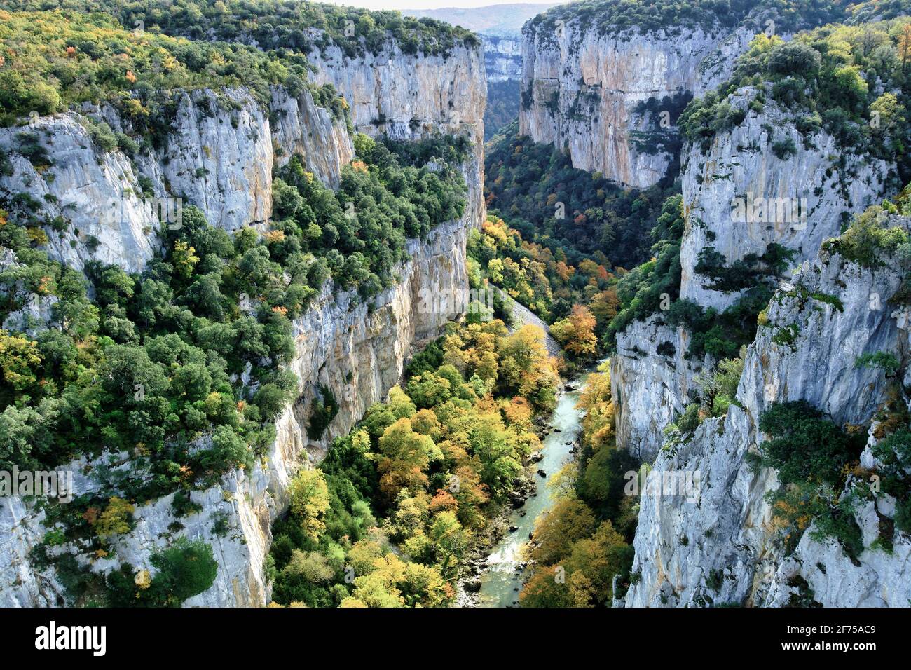 Gola e fiume con foresta decidual in autunno. Gola di Arbayun. Navarra, Spagna, Europa. Foto Stock