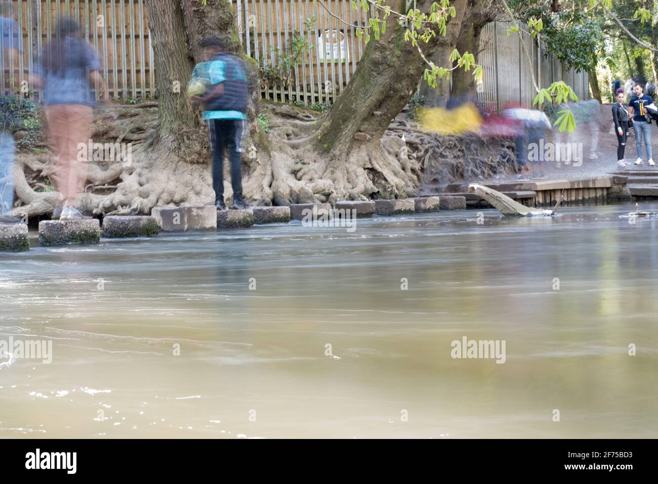 Immagine in movimento di persone che attraversano la talpa del fiume su una pietra a gradini Ai piedi di Boxhill Foto Stock