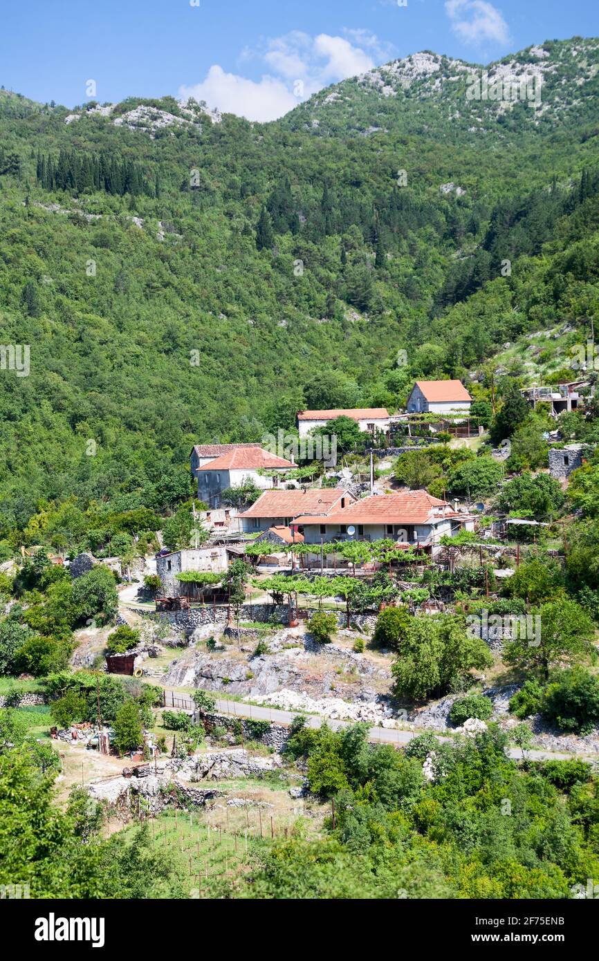 Paesaggio rurale con montagne e case coloniche nel comune di Zabljak, Montenegro. Europa Foto Stock