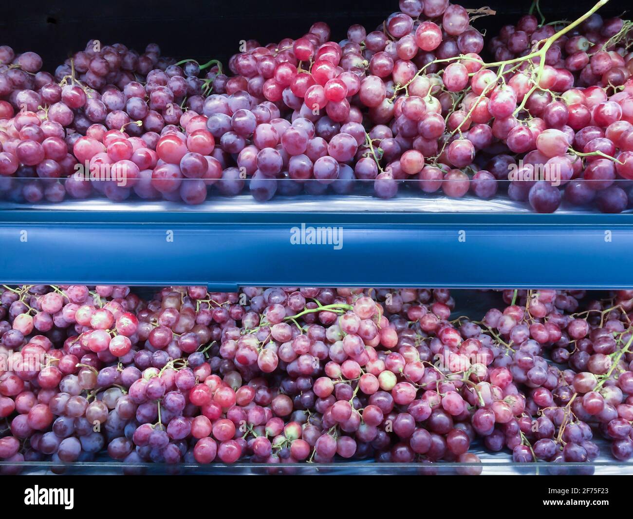 Uva rossa matura e fresca sul ripiano della frutta in un supermercato. Messa a fuoco selettiva. Foto Stock