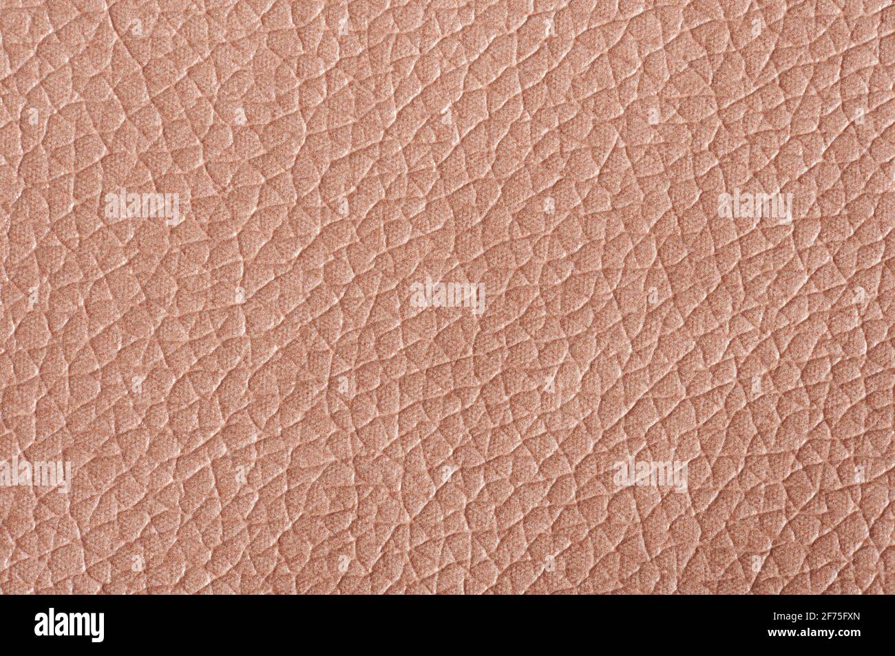 Animale marrone pelle sfondo macro vista ravvicinata Foto Stock