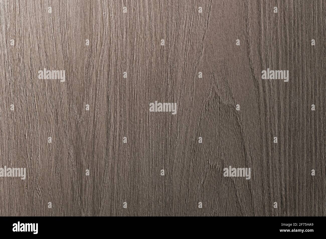 Il grigio è uno sfondo di legno marrone con venature beige. Taglio longitudinale con texture mediamente scura. Foto Stock
