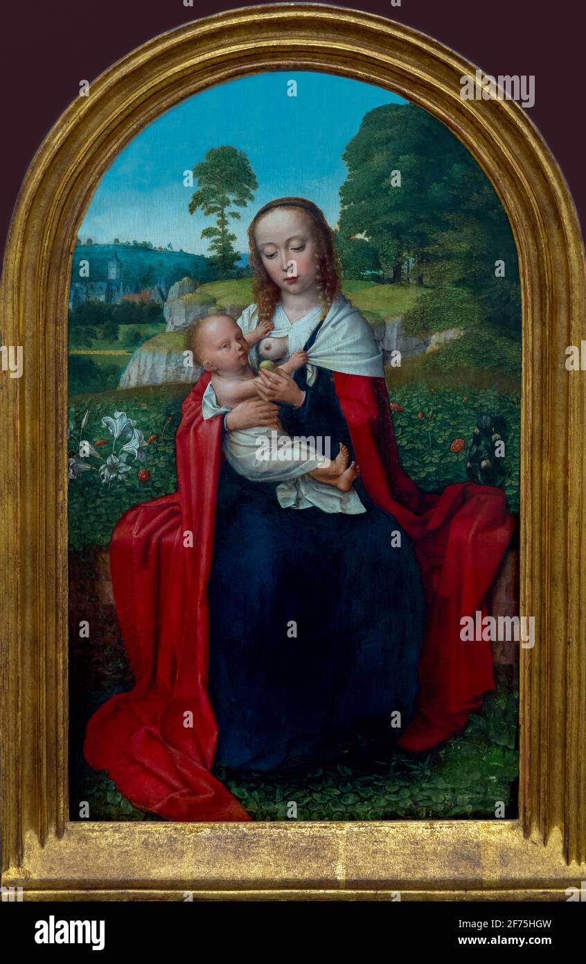 Vergine con Bambino in un paesaggio da Gerard David, circa 1520, Boijmans van Beuningen Museum di Rotterdam Paesi Bassi, Europa Foto Stock