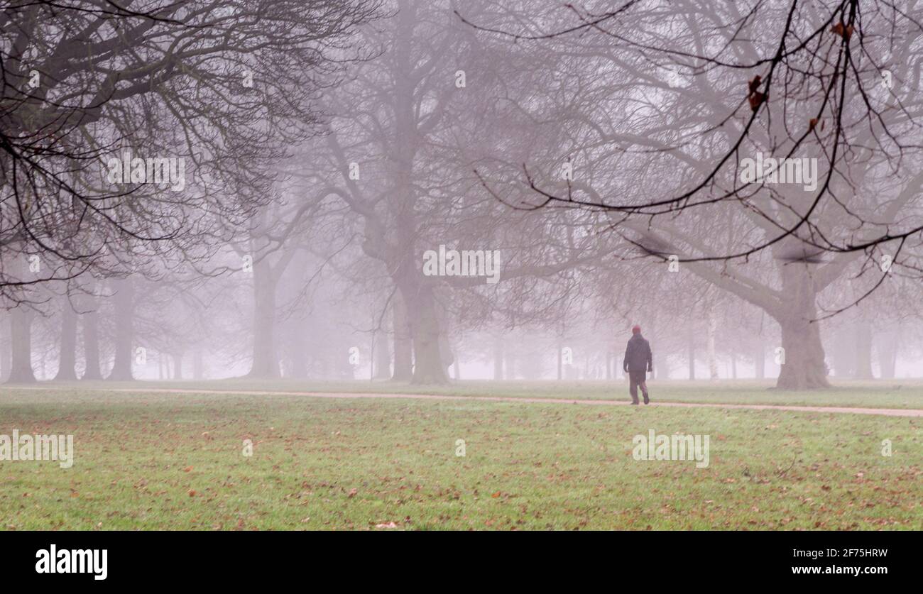 Un'ampia foto di un uomo che cammina in un parco su un giorno nebbia Foto Stock