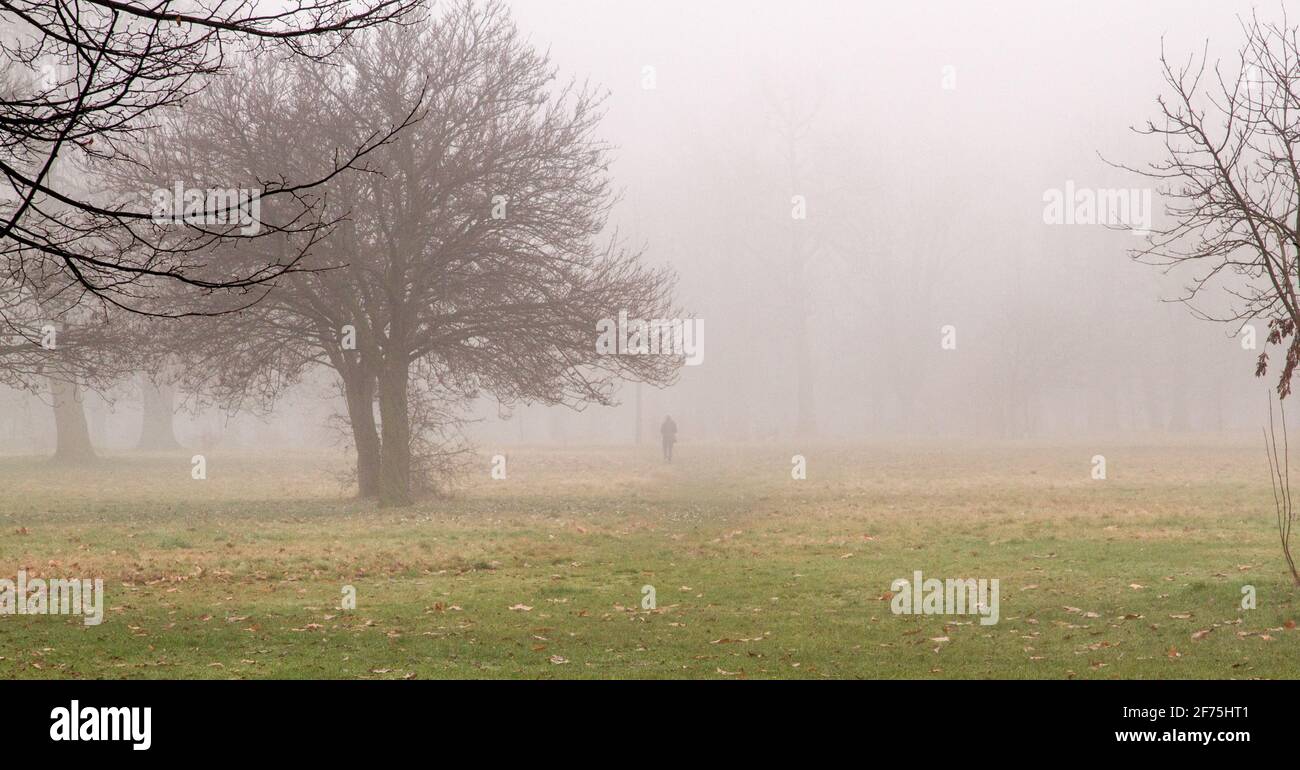 Un'ampia foto di un uomo che cammina in un parco su un giorno nebbia Foto Stock