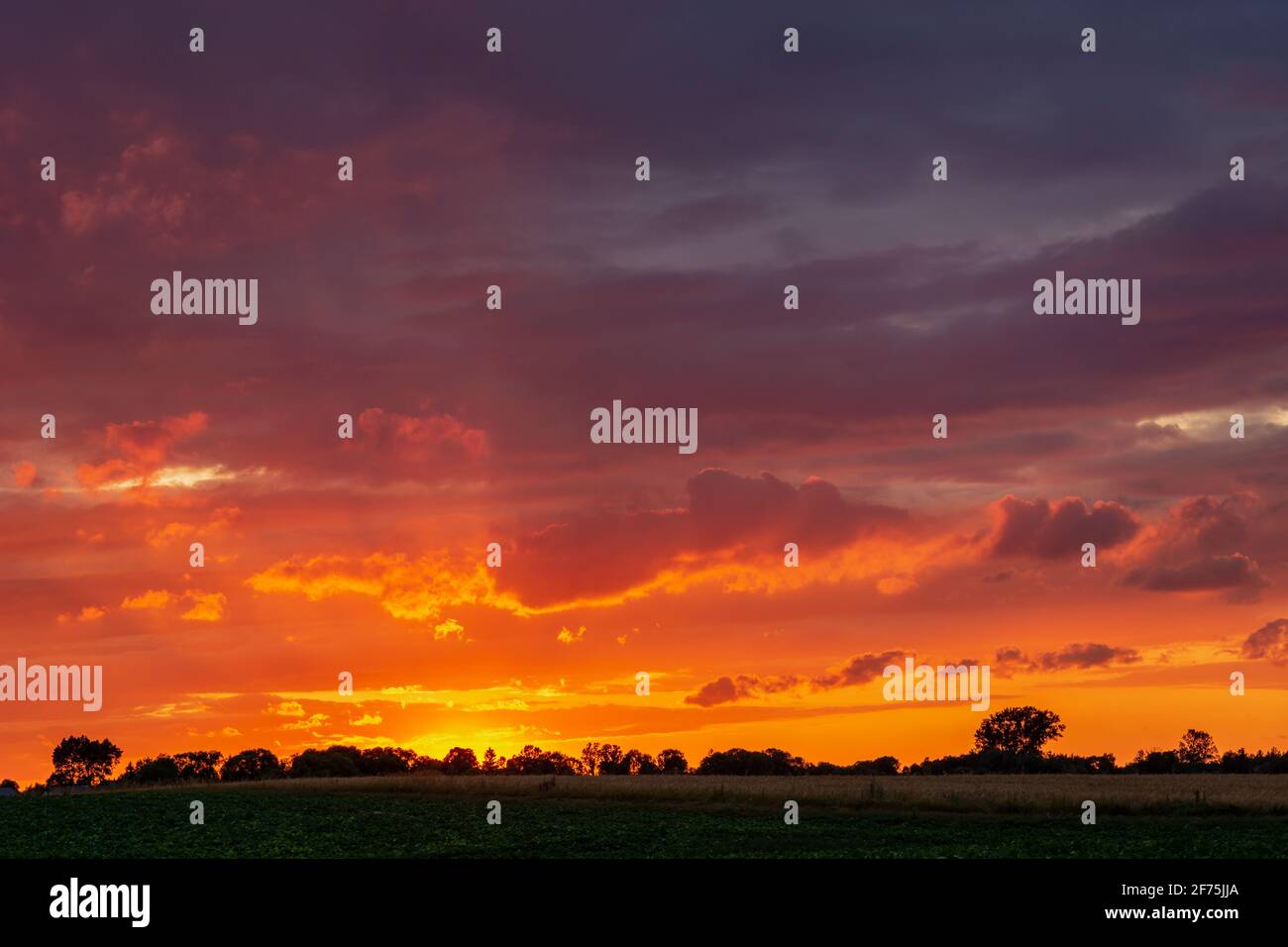 Cielo colorato e nuvole durante il tramonto sull'orizzonte Foto Stock