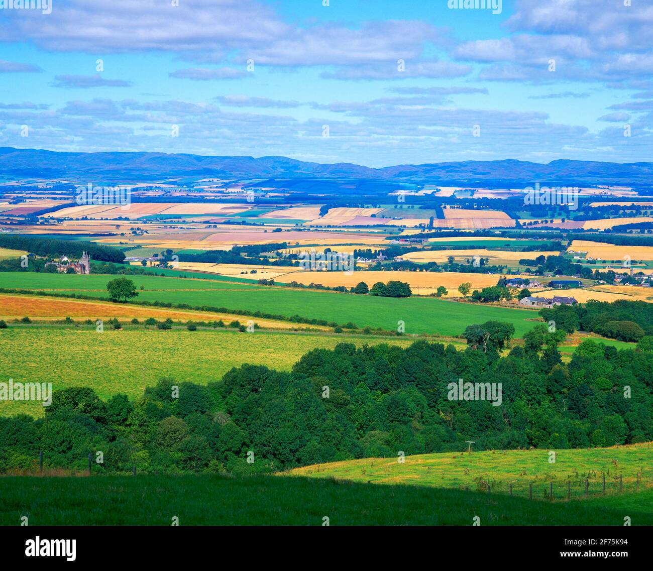 Regno Unito, Scozia, Tayside, Strathearn, vista sulla valle, estate Foto Stock