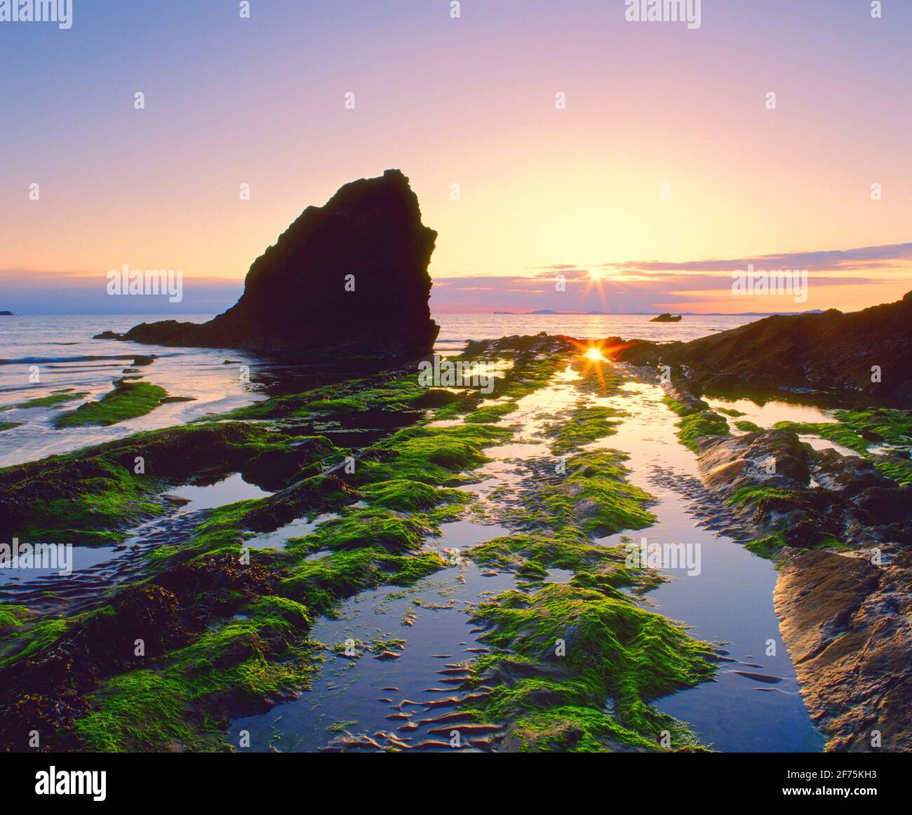 Regno Unito, Galles, Dyfed, St. Brides Bay, tramonto Foto Stock