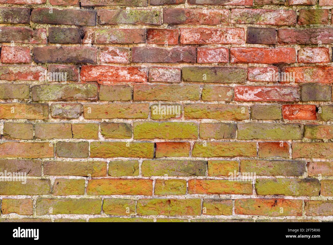 Muro di mattoni sfondo varietà di mattoni muro di mattoni che mostra segni di intemperie e usura, mattoni fatti a mano wirh Malta calce alta risoluzione Foto Stock