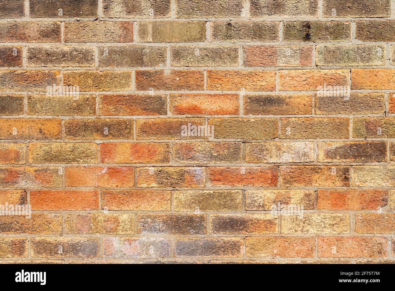 Muro di mattoni di sfondo varietà di mattoni muro di mattoni fatto con Normale nuovo mattoni casa alta risoluzione foto di alta qualità Foto Stock