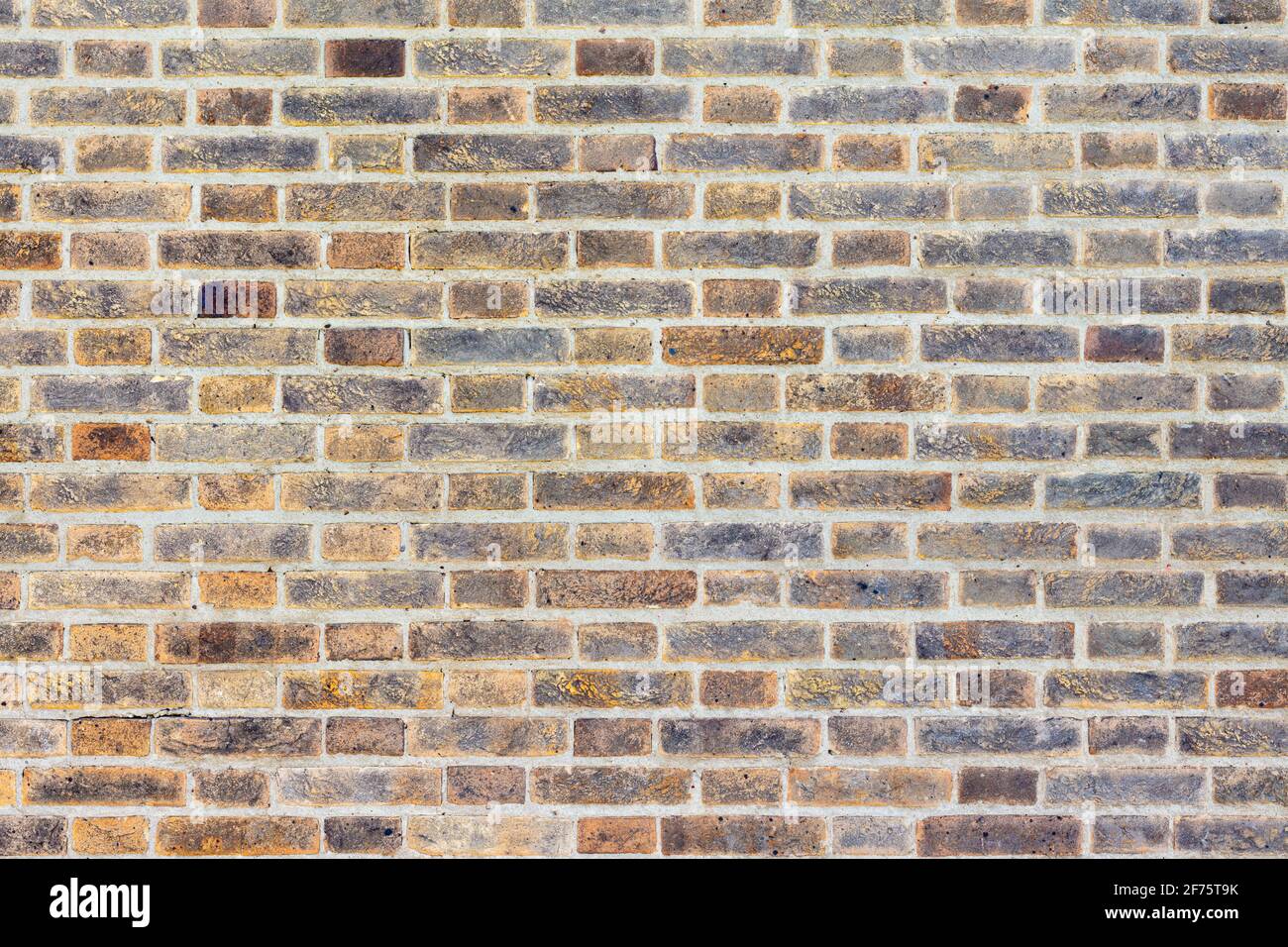 Muro di mattoni di sfondo varietà di mattoni muro di mattoni fatto con Normale nuovo mattoni casa alta risoluzione foto di alta qualità Foto Stock