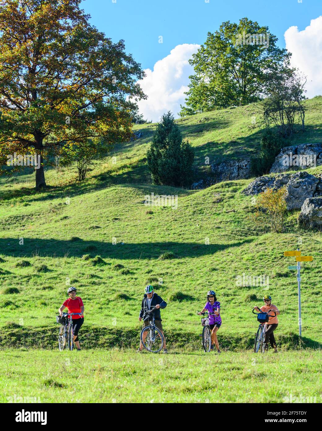 Gruppo Senior facendo una gita in bicicletta nella splendida natura della Germania meridionale Foto Stock