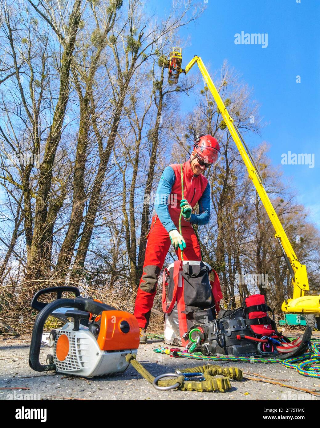 Treeworker facendo il loro lavoro con un skylift Foto Stock